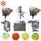 660Kgs/machine végétale de coupeur de nourriture d'ail de gingembre de machine processeur de H