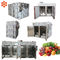 Déshydrateur de nourriture d'acier inoxydable de cuisine certification de la CE de capacité de 60 kilogrammes