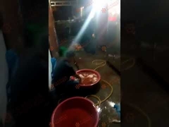 Machine à épiler les volailles