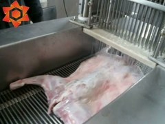 Vidéo de test de la machine d'injection de solution saline