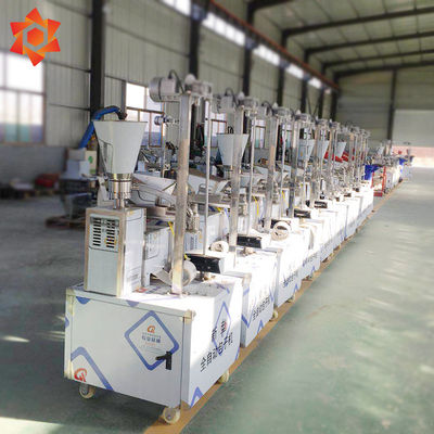 Ravioli automatiques adaptés aux besoins du client de Pelmeni de petit pain de ressort de machine de pâtes faisant la machine